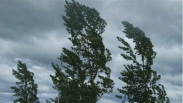 Stato di Calamità Gennaio-Febbraio 2026: Ricognizione dei danni