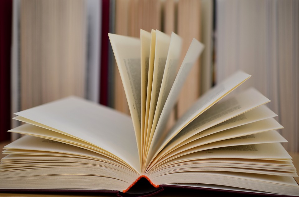 CONTRIBUTI PER IL DIRITTO ALLO STUDIO : BORSA DI STUDIO REGIONALE  - A.S. 2018/2019 (L.R. 5/2015) e BUONO LIBRI  - A.S. 2019/2020 (ART. 27 L.448/1998)