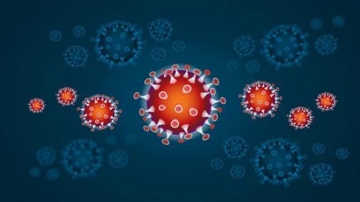 Emergenza sanitaria covid-19. nuove misure urgenti di contenimento del contagio  da coronavirus a seguito del dpcm del 11.03.2020