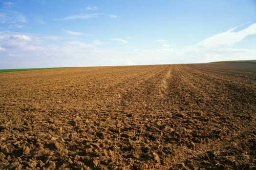 ELENCO NOMINATIVO DEI IMPRENDITORI AGRICOLI PROFESSIONALI SOGGETTI ALL’ASSICURAZIONE ed ELENCO NOMINATIVO DEI COLTIVATORI DIRETTI SOGGETTI ALL’ASSICURAZIONE